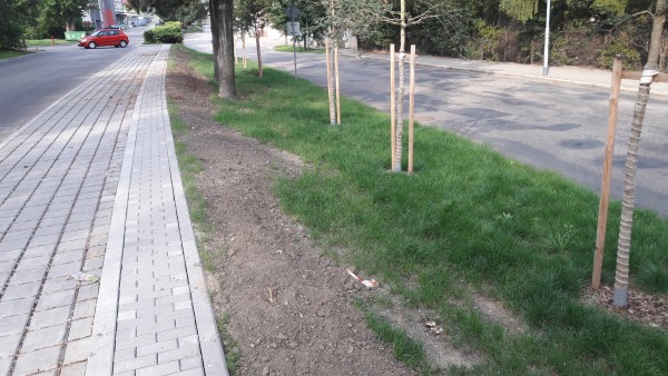 Oprava povrchu komunikace Nádražní