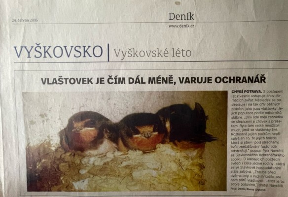 Výstavba "ptačího domu" dá mizejícím druhům šanci